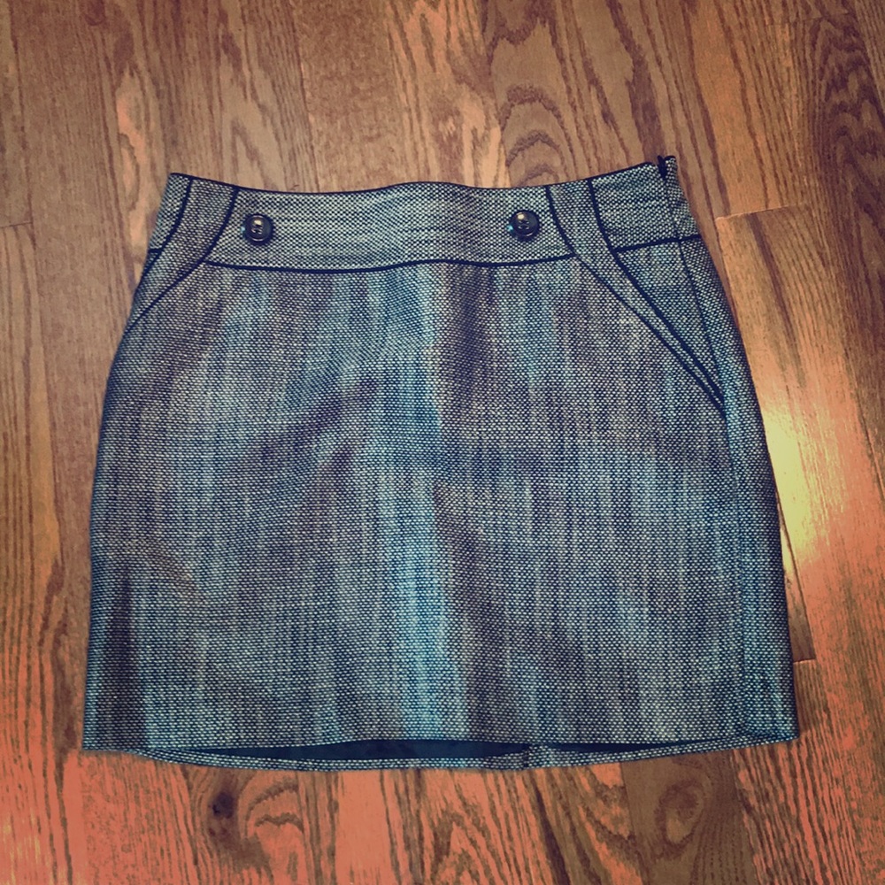 Skirt from the Limited
